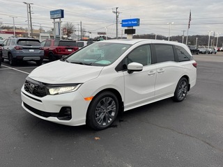 2026 Honda Odyssey for sale in Johnson City TN