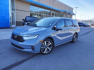 2024 Honda Odyssey for sale in Gallatin TN