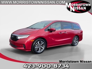 2024 Honda Odyssey for sale in Morristown TN