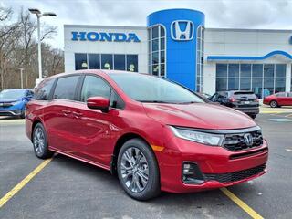 2025 Honda Odyssey for sale in Tupelo MS