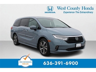 2023 Honda Odyssey for sale in Johnson City TN