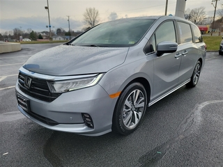 2024 Honda Odyssey