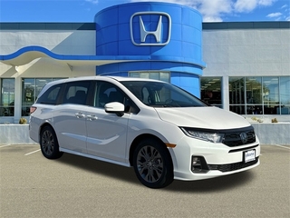 2025 Honda Odyssey for sale in Wallingford CT