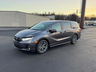 2026 Honda Odyssey for sale in Johnson City TN
