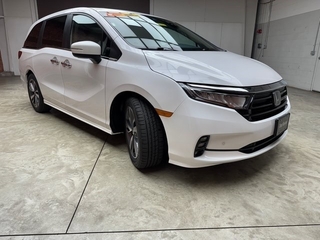 2023 Honda Odyssey for sale in Bourbonnais IL