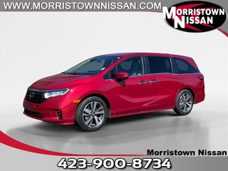 2023 Honda Odyssey for sale in Morristown TN