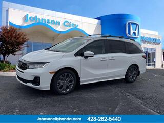 2025 Honda Odyssey for sale in Johnson City TN