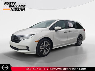 2024 Honda Odyssey for sale in Knoxville TN