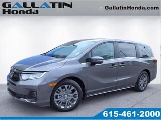 2025 Honda Odyssey for sale in Gallatin TN