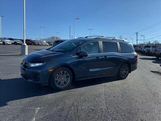 2025 Honda Odyssey for sale in Johnson City TN