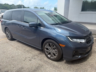 2025 Honda Odyssey