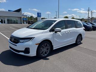 2026 Honda Odyssey for sale in Johnson City TN