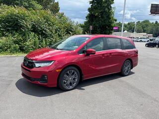 2026 Honda Odyssey for sale in Johnson City TN