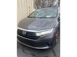 2023 Honda Odyssey for sale in Johnson City TN