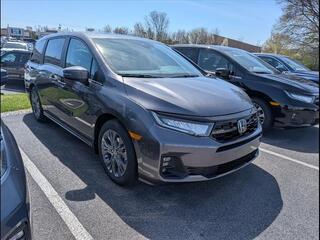 2025 Honda Odyssey for sale in Bowling Green KY