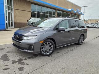 2025 Honda Odyssey for sale in Gallatin TN