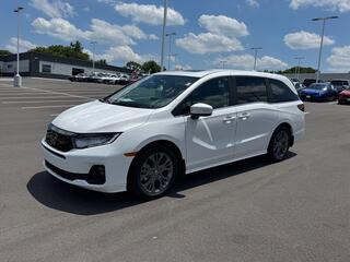 2026 Honda Odyssey for sale in Johnson City TN
