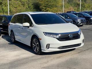 2023 Honda Odyssey for sale in Chattanooga TN