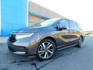 2023 Honda Odyssey for sale in Gallatin TN