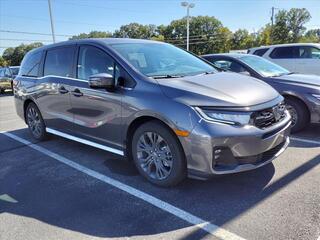 2025 Honda Odyssey for sale in Paola KS