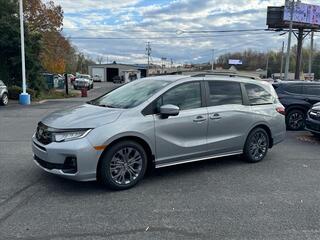 2025 Honda Odyssey for sale in Johnson City TN