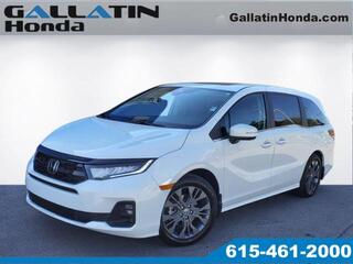 2025 Honda Odyssey for sale in Gallatin TN