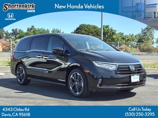 2024 Honda Odyssey