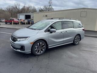 2025 Honda Odyssey for sale in Johnson City TN