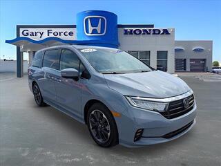 2024 Honda Odyssey for sale in Bowling Green KY