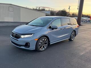 2026 Honda Odyssey for sale in Johnson City TN
