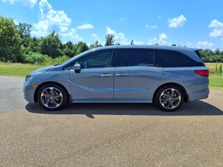 2023 Honda Odyssey