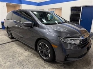 2024 Honda Odyssey for sale in Bourbonnais IL