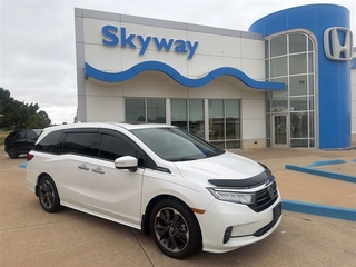 2024 Honda Odyssey for sale in Pineville NC