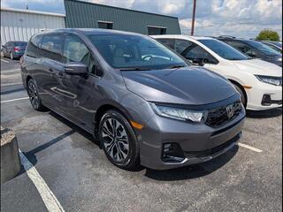 2025 Honda Odyssey for sale in Bowling Green KY