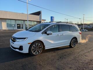 2025 Honda Odyssey for sale in Johnson City TN