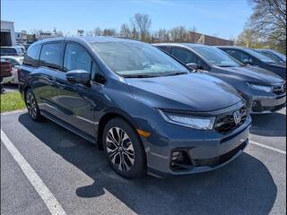 2025 Honda Odyssey for sale in Bowling Green KY