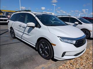 2023 Honda Odyssey for sale in Bowling Green KY