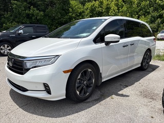 2023 Honda Odyssey for sale in Manchester TN