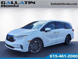 2024 Honda Odyssey for sale in Gallatin TN