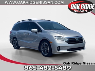 2022 Honda Odyssey for sale in Oak Ridge TN