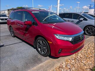 2023 Honda Odyssey for sale in Bowling Green KY