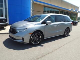 2023 Honda Odyssey for sale in Gallatin TN