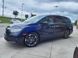 2024 Honda Odyssey for sale in Gallatin TN