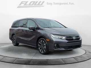 2025 Honda Odyssey for sale in Burlington NC