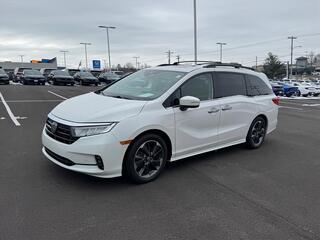 2024 Honda Odyssey for sale in Johnson City TN