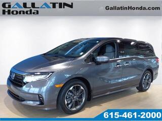 2024 Honda Odyssey for sale in Gallatin TN