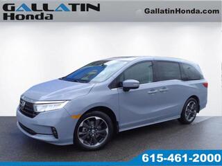 2024 Honda Odyssey for sale in Gallatin TN