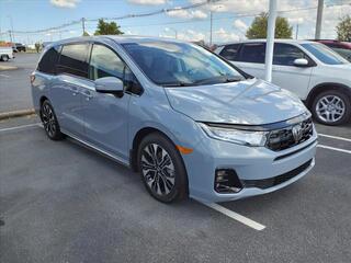 2025 Honda Odyssey for sale in Bowling Green KY