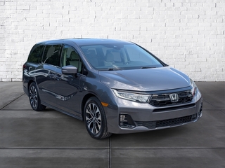 2025 Honda Odyssey for sale in Chattanooga TN