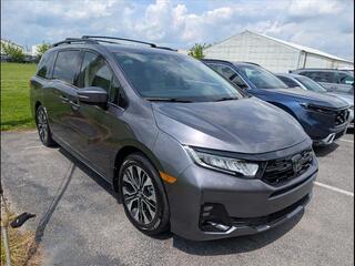 2025 Honda Odyssey for sale in Bowling Green KY